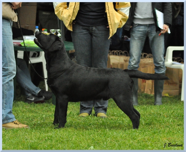 pit