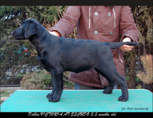 victoria3,5m1