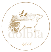 Dolbia Labrador Retriever