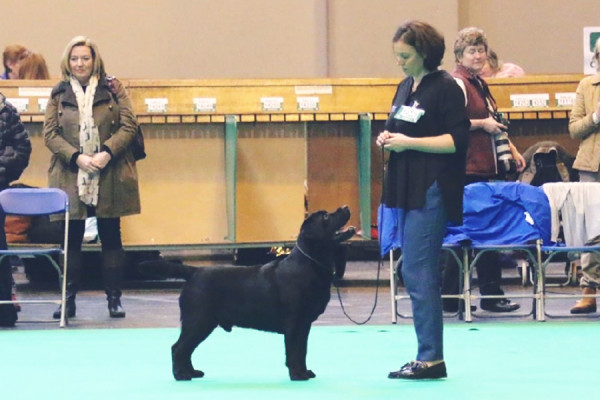 willy_crufts_2017