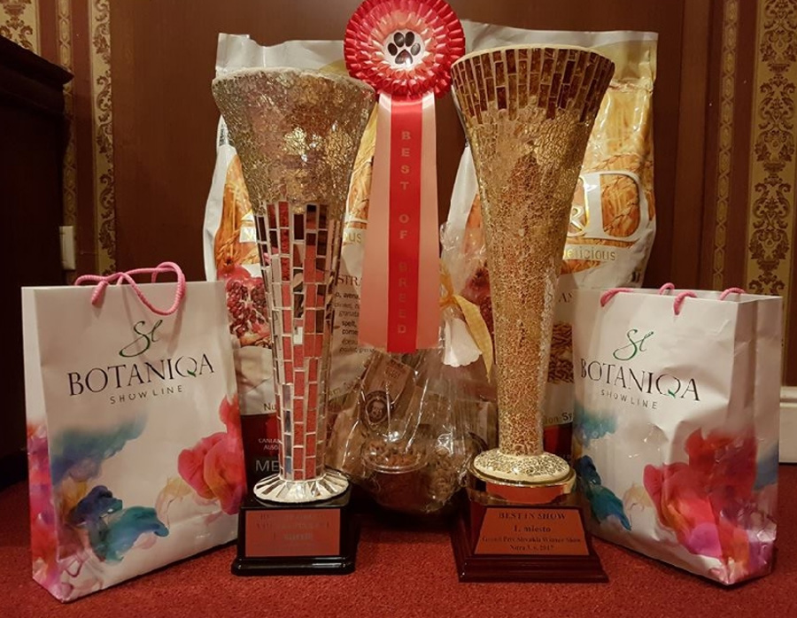 Grand Prix Nitra