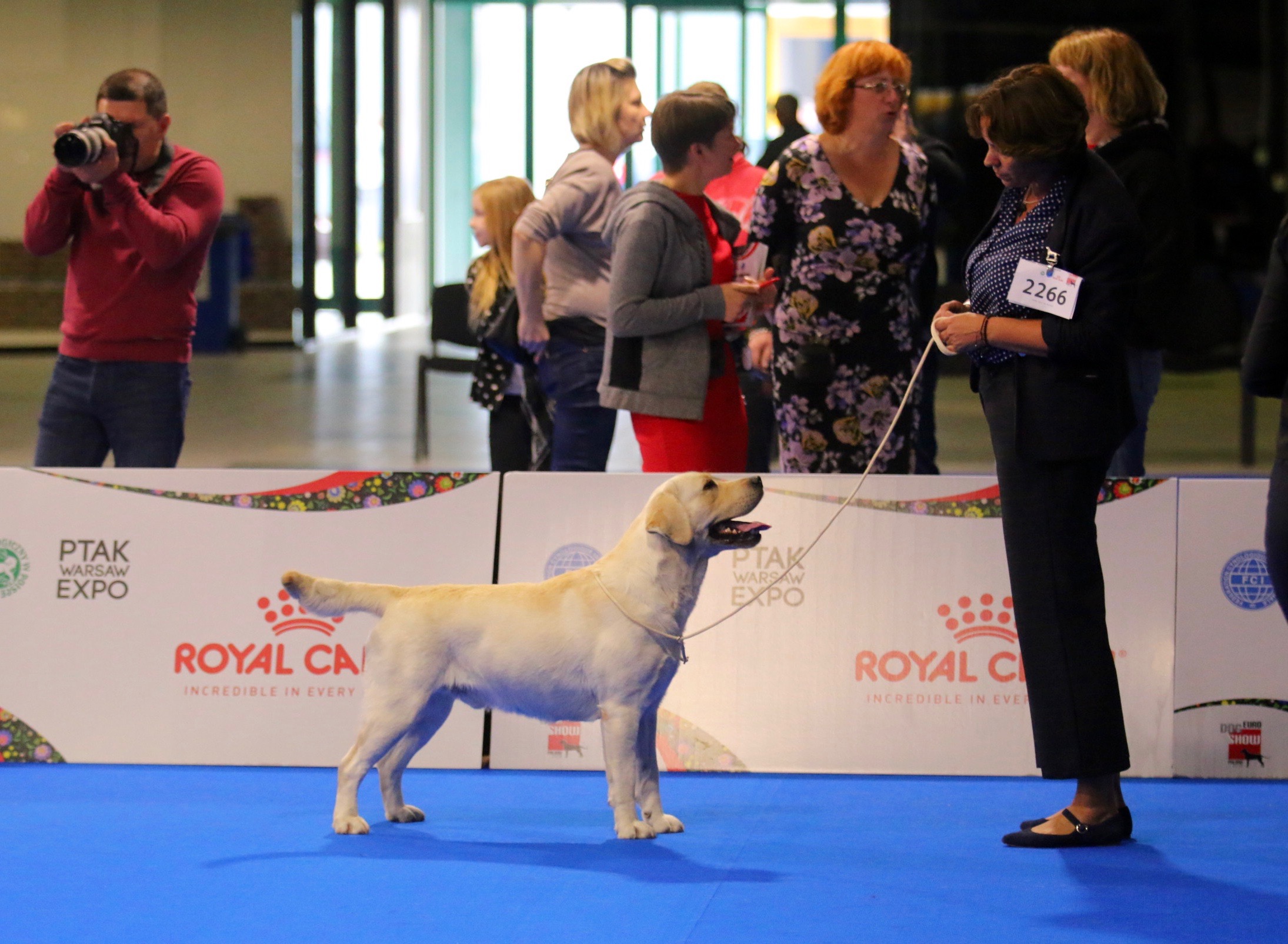 European Dog Show 2018, 11-14/10/2018